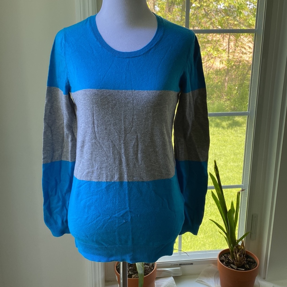 Gap Sweater(B)